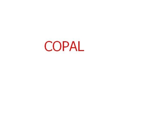Copalのための化学フィルター6030/6550のminilab 140x22x35mm サプライヤー